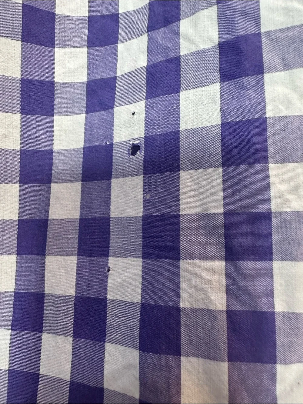 J. Crew Light Weight Purple and White Gingham Button-Down Shirt